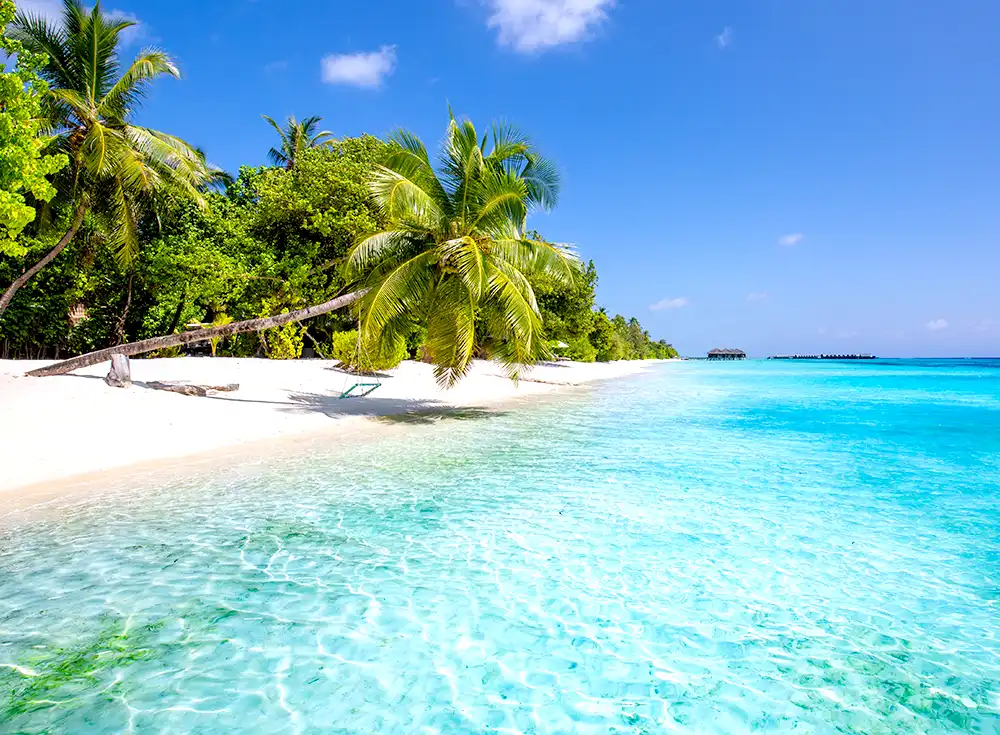 Fiji Islands